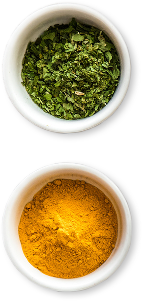 Punjaabi Indian Cuisine